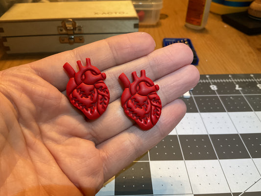 Anatomical Hearts